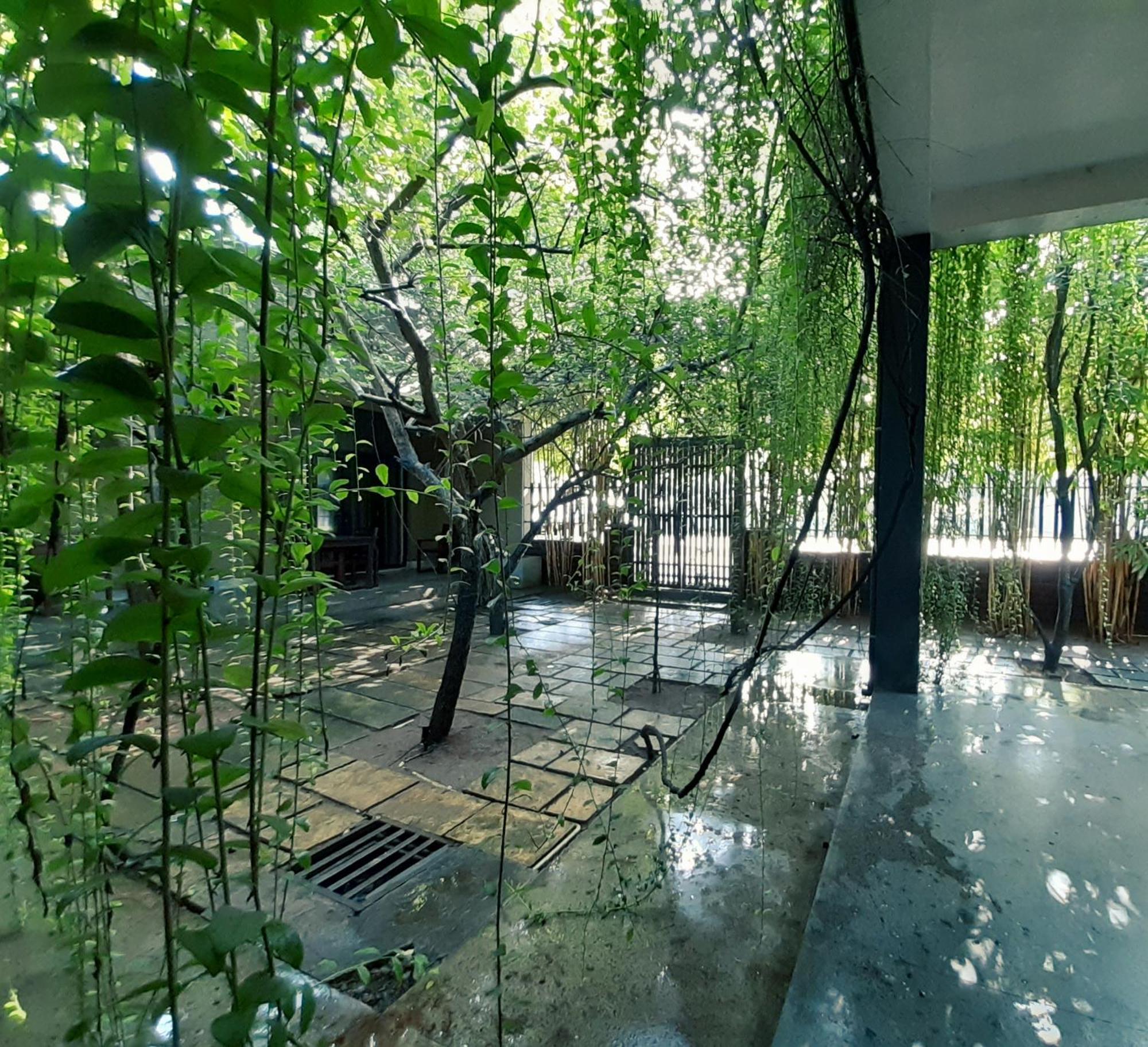 Isi Arana Eco Villa Анурадхапура Экстерьер фото
